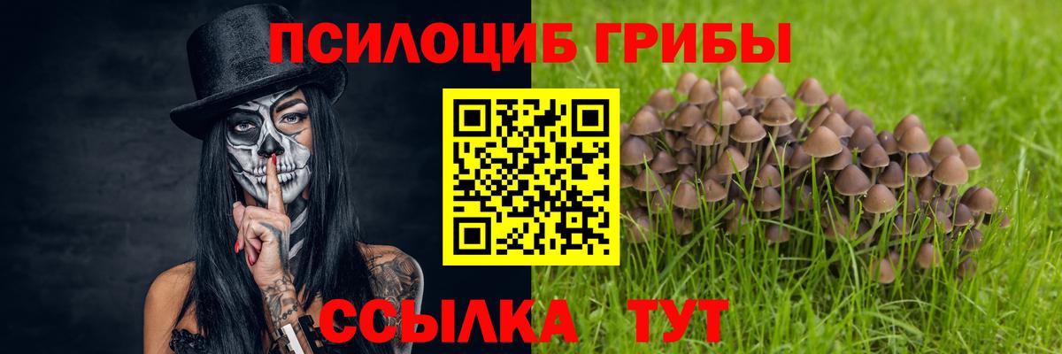 Псилоцибиновые грибы прущие грибы Похвистнево